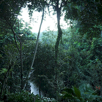 Photo de Bali - Ubud